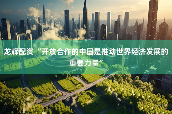 龙辉配资 “开放合作的中国是推动世界经济发展的重要力量”